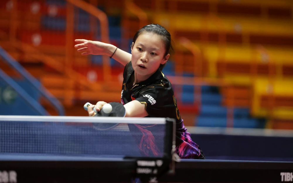 多样化和轮 多样化和轮